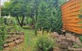10b Außenansicht Garten, hinterer Teil