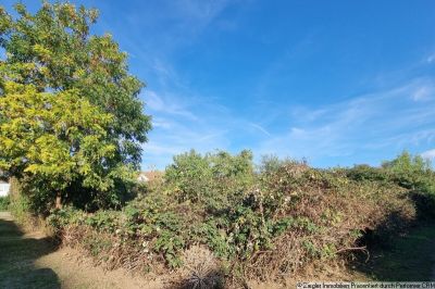 Bauplatz in sehr beliebter Wohnlage von MA-Seckenheim - 0-4004