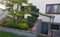 EG, Terrasse, Begrünung