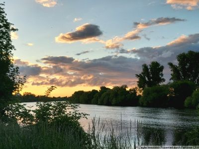 Haus mit 4 WE, Scheune u. 1-Fam.-Haus in Neckarlage, OT Edingen - 60003985