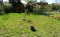 Garten 1