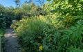 31 Garten hinterer Teil