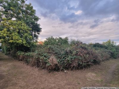 Bauplatz in TOP-Lage von MA-Seckenheim - 0-4004
