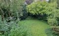 51 EG Ausblick zum Garten