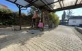 26 Grillplatz und Stellplatz, Gesamtansicht