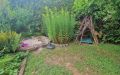 34 Gartenimpressionen vorderer Garten A