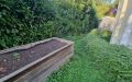41 Garten, hinterer Bereich