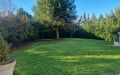 07 c Garten